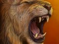1342743660.vera_lion.jpg